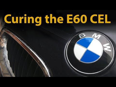 BMW E60 530i M54 SAP SAV and SAP MAF replacement