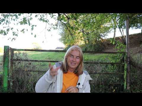 Safi Nidiaye - Corona und die kollektive Emotions-Krise