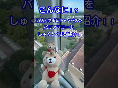 社会福祉学科 しゅくとくまと行く！千葉キャンパスのバリアフリーツアー！ #淑徳大学 #shorts
