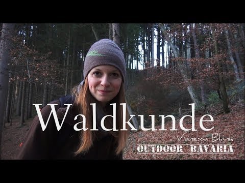 Waldkunde - Das Baumharz - Erklärung und Verwendung - Vanessa Blank - Outdoor Bavaria