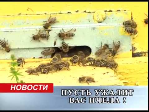 Препараты при болях в позвоночнике и суставах Боль в зубе отдает в шею