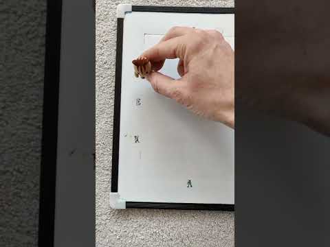 BE90 Dressage Test 95 (2012)