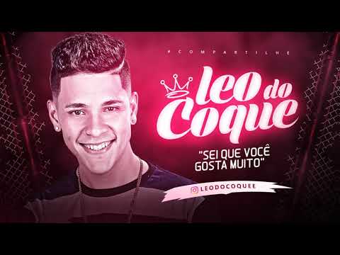 LEO DO COQUE - SEI QUE VOCE GOSTA MUITO