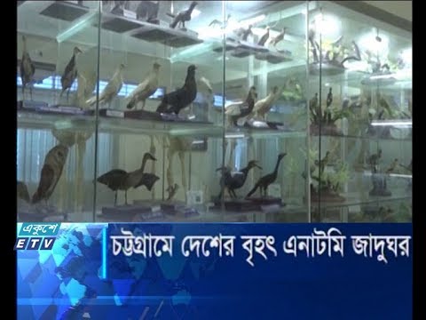 চট্টগ্রামে দেশের বৃহৎ এনাটমি জাদুঘর