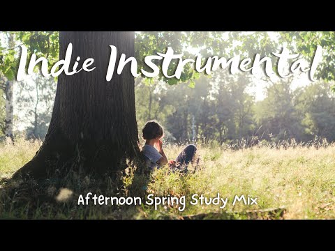 📚Calm Instrumental Music For Studying: Indie Acoustic Playlist Vol. 8 [Spring Afternoons]