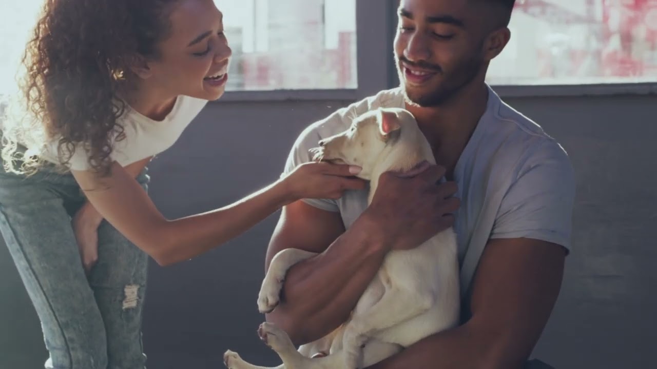 TEMAS DO COTIDIANO | Amor é essencial em meio à brutalidade