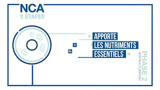 Qu'est ce que la Nutrition Cellulaire Active® ?