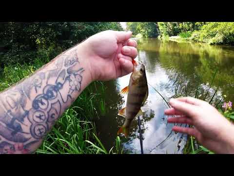 # 19 Rönneådalen - Lite djungel vandring osv