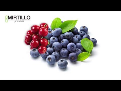 Farmaci antinfiammatori non steroidei per la prostata Il cancro alla prostata gruppi clinici