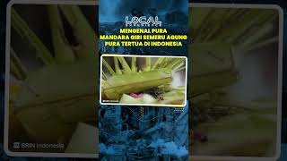 Mengenal Pura Hindu Tertua di Indonesia, Justru Bukan Berada di Pulau Bali