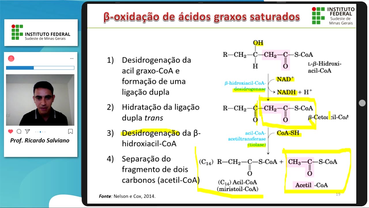 Metabolismo de lipídeos - parte III (beta-oxidação de ácidos graxos e formação de corpos cetônicos)