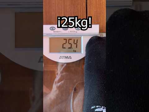 🤮 V0MIT4R BAJA TU PESO 🤢 #youtubeshorts #shorts