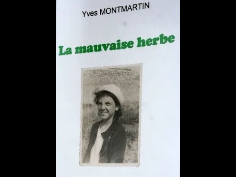 Vido de Yves Montmartin