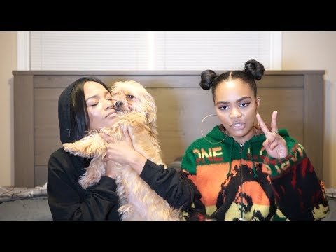 12 Annoying Types of People!