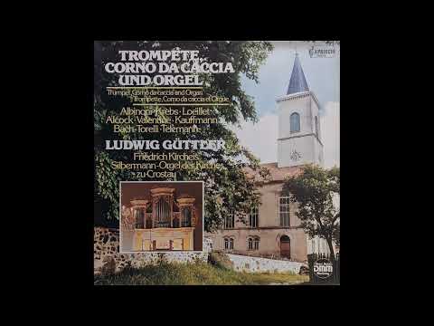 Ludwig Güttler, Friedrich Kircheis - Sonate in D (Guiseppe Torelli)
