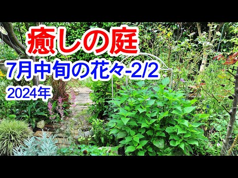 コテージガーデンにとって最も重要な植物 トピックス