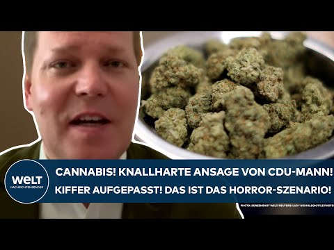 DEUTSCHLAND. Legalisierung? Klare Ansage von CDU-Mann! Das ist das Horror-Szenario für alle Kiffer!