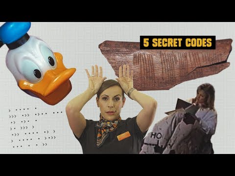Wattoad The Secret Code Hidden In Plain Sight