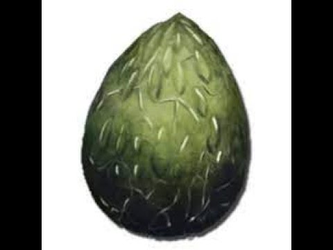 Ark FJORDUR | Poison Wyvern Eggs & Where to Find Them!