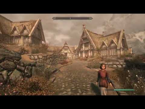 Skyrim Nazeem not being a jerk RARE