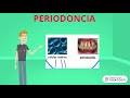 Celulas Madre Odontogenetistas 2