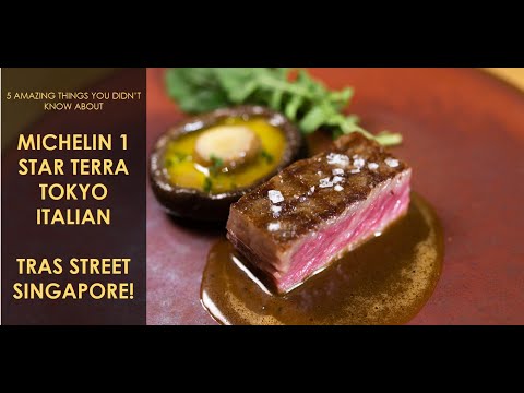 5 Amazing Things You Didn't Know About Michelin 1 Star Terra Tokyo Italian at Tras Street Singapore!
