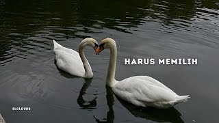 Download lagu Widi Nugroho - Harus Memilih (Sped Up) Tiktok Viral mp3