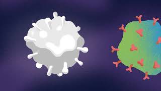 Newswise:Video Embedded spreading-doses-of-hope-as-covid-19-cases-rise