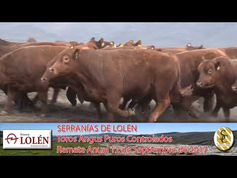06-09-17 Toros Angus P.C. - Dia de Campo Cabaña Lolén - C. Suarez