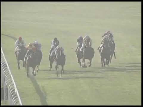 Macau Meeting Race 6(0150) - THE MANCHESTER 2019-02-03