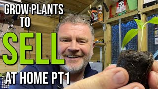 Grow Plants To Sell For Profit | Selling Your How Grow Plants Easy Way To Make Money At Home Pt 1
