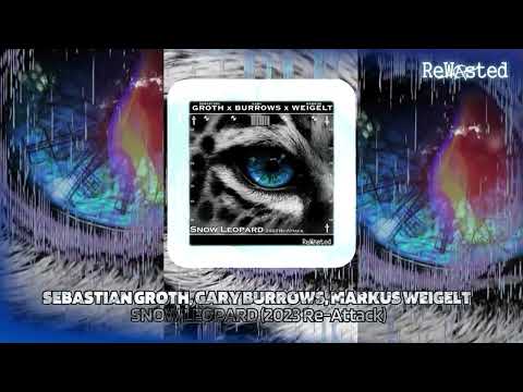 Sebastian Groth, Gary Burrows, Markus Weigelt - Snow Leopard (2023 Re-Attack)
