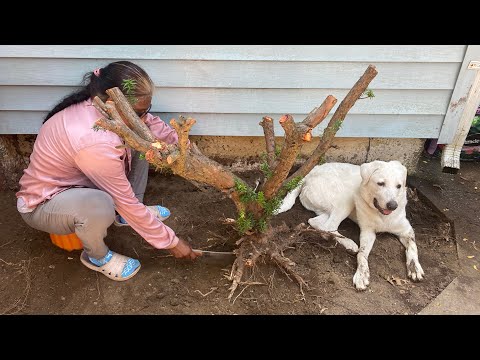 Fun Time Together | Badshah | Nazra Amin | Nazeema Ali