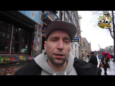 QLOP NA TROPIE ZIELONEGO KRÓLESTWA S01E03: Praktyczny Przegląd Coffeeshop'ów