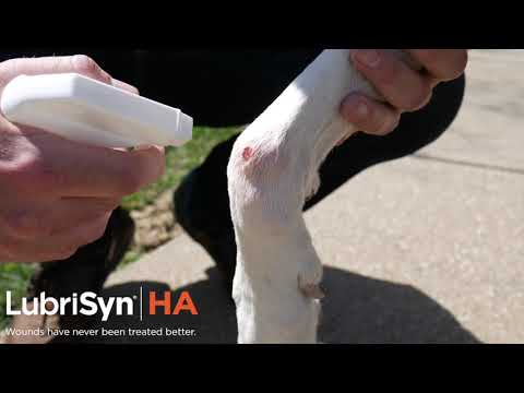 LubriSyn HA Topical - Advanced Wound Gel with Hyaluronic Acid (4 oz) Video