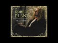 Horizontal Departure  "Robert Plant"