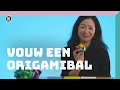 Origamibal (kusudama) vouwen | Doe Het Zelf