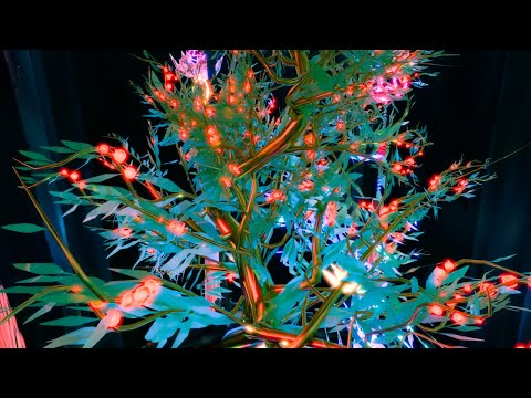 Juno Mamba, Rino - Citrus (Official Video)