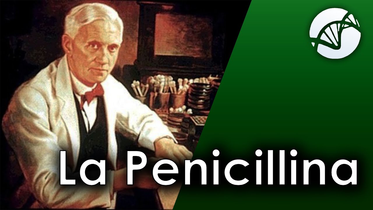Alexander Fleming e la scoperta della Penicillina 💊