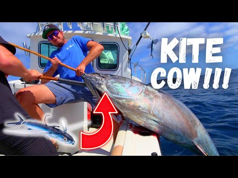 MASSIVE BLOWUP!! | Kite Fishing for COW Bluefin Tuna in Southern CA | California Flyer | San Diego