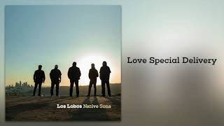 Love Special Delivery Music Video