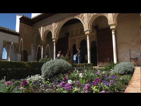 El lirio, planta del mes de Marzo en la Alhambra