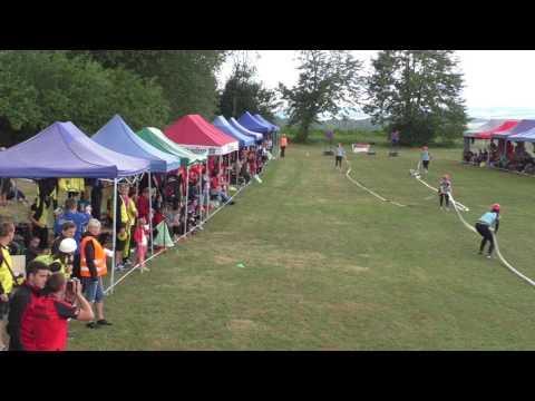 SDH Daměnice ženy "N" BNL Daměnice 2017