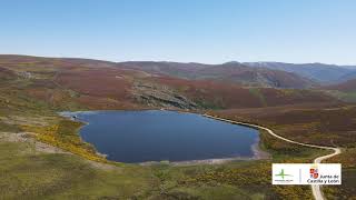 Laguna de los Peces
