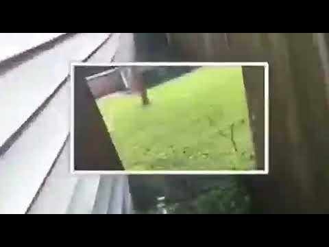 Lilree ft. Babytrev (get to the money)