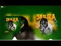 Kiluza Fanani - Skiliza ( Official Audio)
