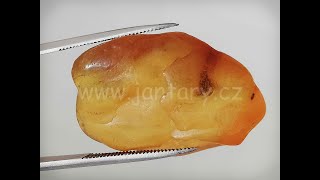 Baltský jantar P-10