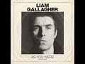 Liam%20Gallagher%20-%20I%20Never%20Wanna%20Be%20Like%20You