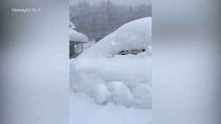 Nevicata record a Prato Nevoso, le immagini delle auto ricoperte