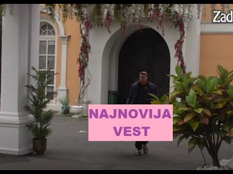 OVO se toliko DUGO ČEKALO - Neočekivano se pojavili na KAPIJI #zadruga #zadrugainfo